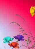 (c) tina doerwald 2011