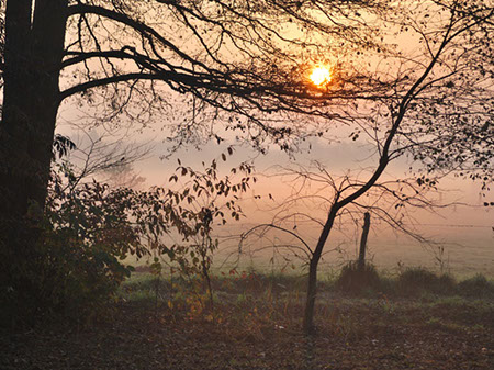 (c) tina doerwald 2011
