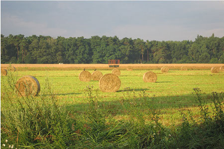 (c) tina doerwald 2011