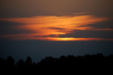 (c) tina doerwald 2011