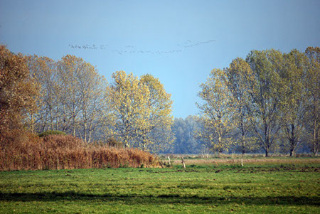 (c) tina doerwald 2011