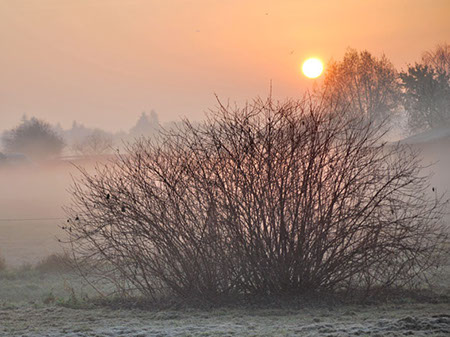 (c) tina doerwald 2011